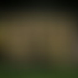 Hyypiä Areenassa junnujen pelejä alkuvuodesta