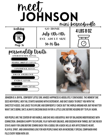 Johnson (1).png