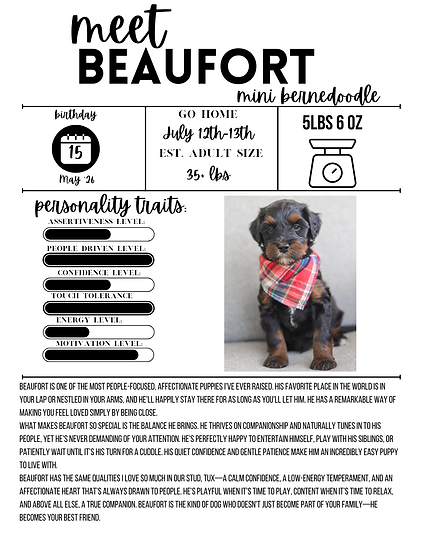 beaufort (1).png