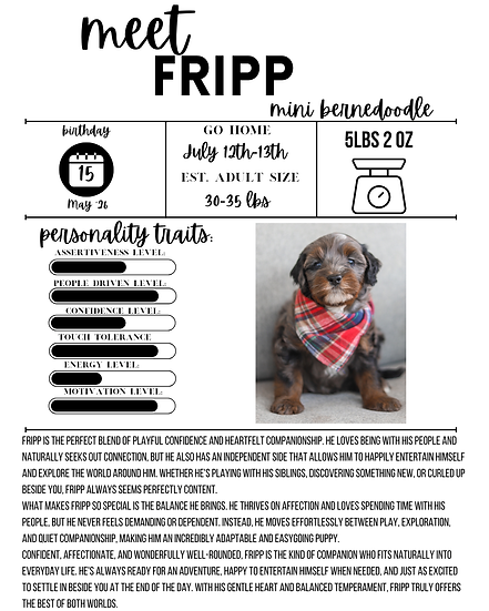 Fripp (1).png