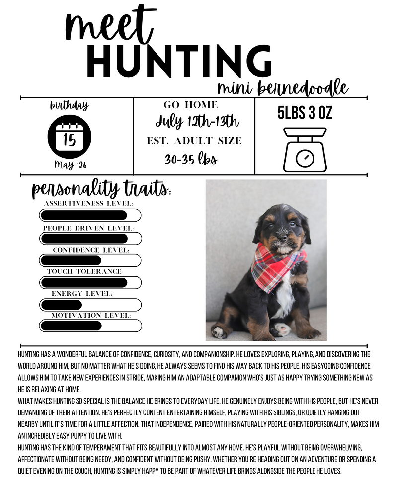 hunting (1).png
