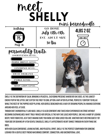 Shelly (1).png