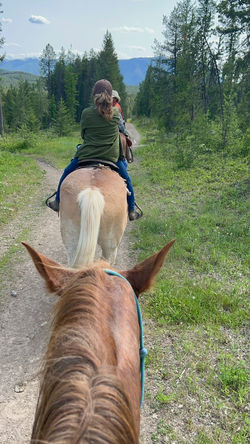 B47073CC-AF71-434A-B04A-8DD77ED062F8_1_105_c