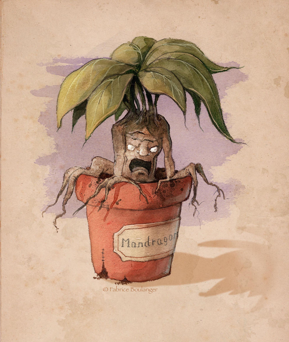 Jeu de "cherche et trouve"