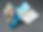 LoboNM_Borchure2025_TriFold_MockUp.png