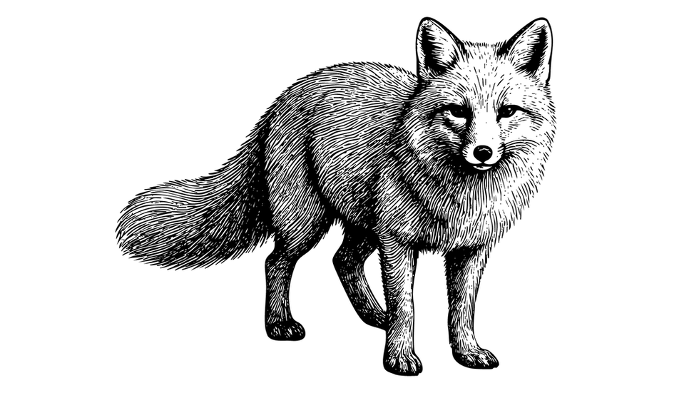 Thumbnail: 2026 Endangered Species High Res Monochrome Blk Digi Art Transparent Background