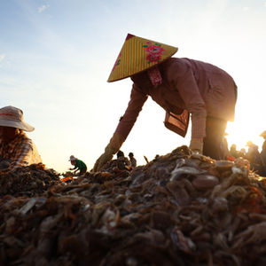 Fish Market at Dawn