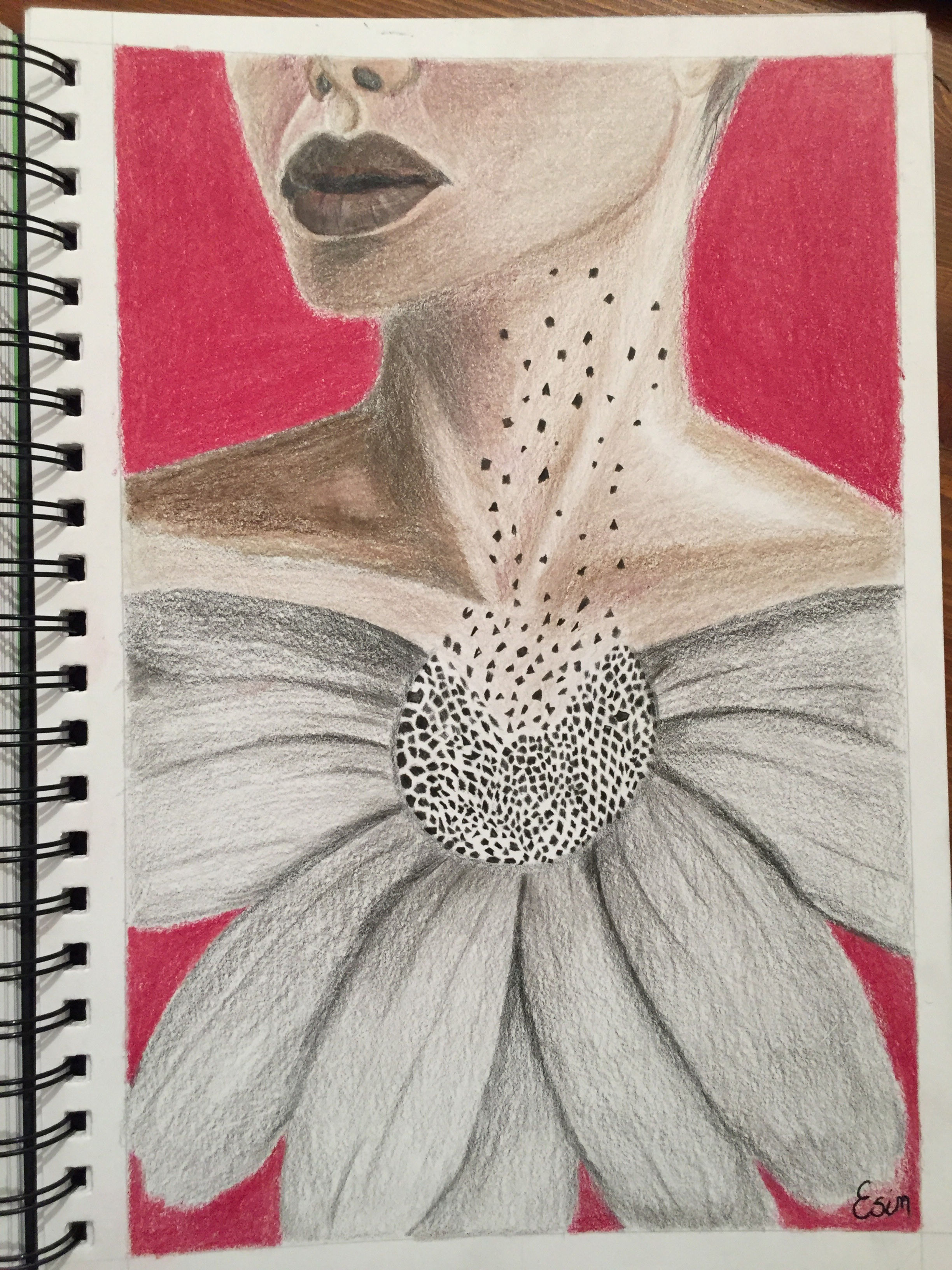 Esin - Click for Original Artwork