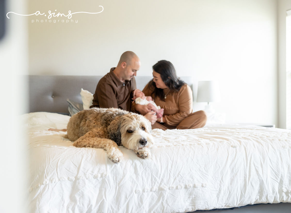 A. Sims Photography LLC