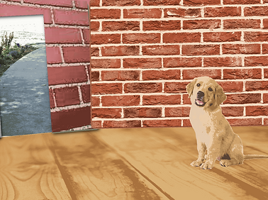 Dog_Frame_1.png