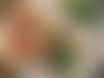 Breakfast burrito with or without bacon