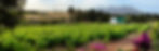 Domaine Brahms (4).jpg