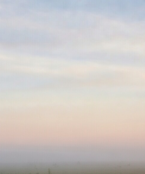 Screenshot 2026-04-20 104342.png