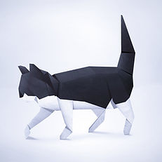 Paper Cat_edited.jpg