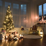 アプリコット〜christmas version〜