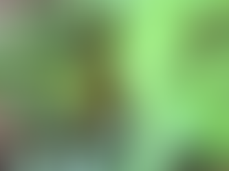 庭のグリーンの状態-2026年4月-