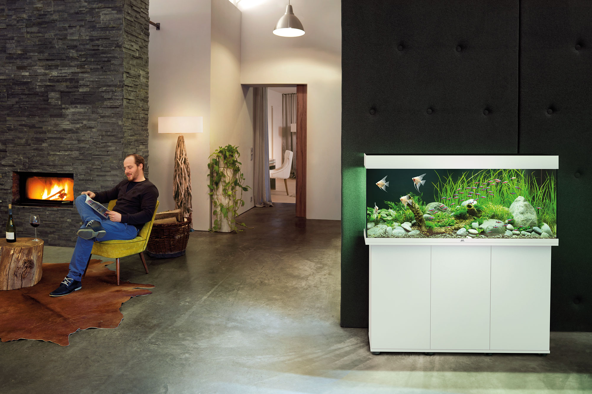 Finished freshwater aquarium system