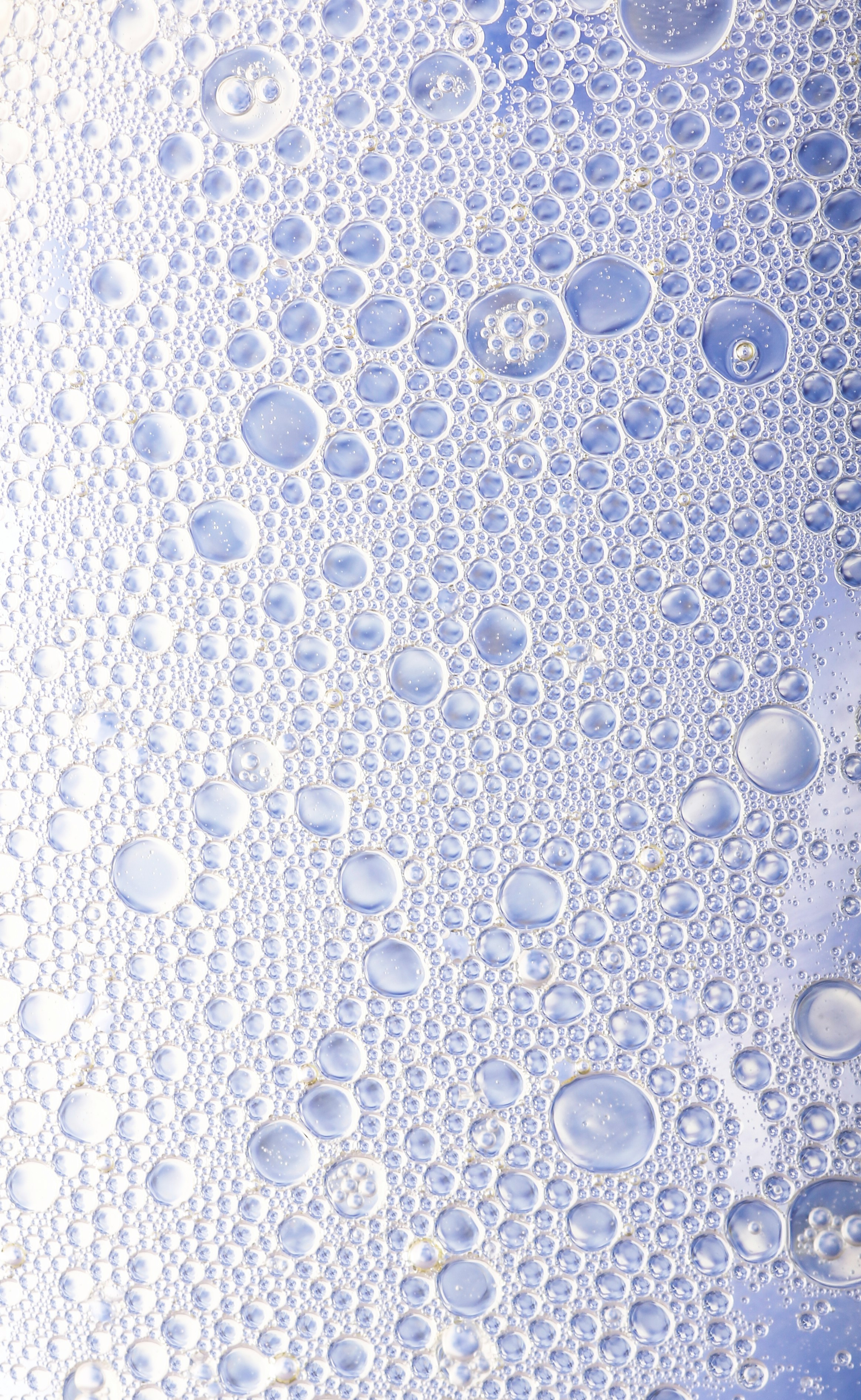 The Carbon Dioxide in Seltzer water kills algae and snails.
