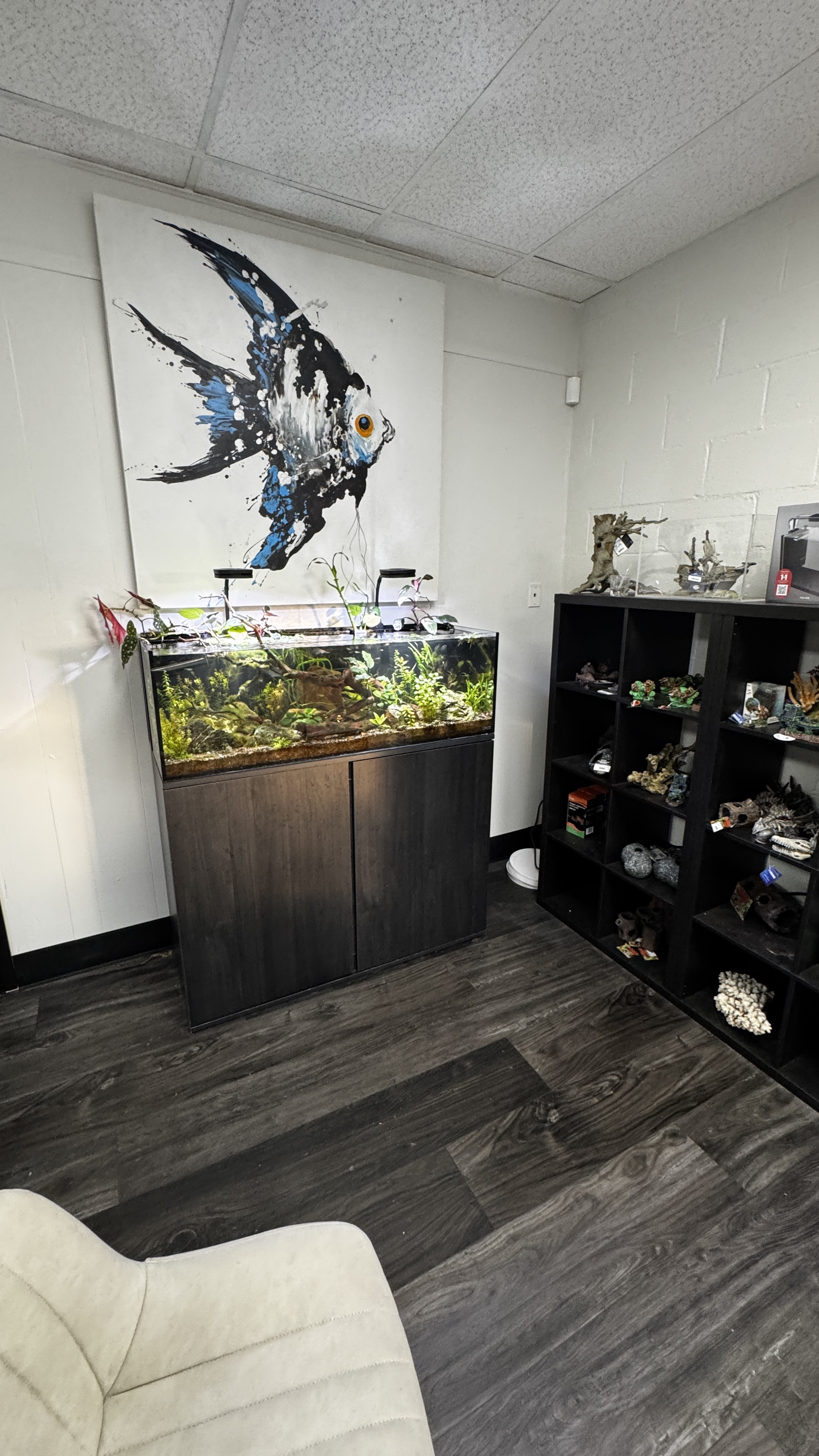 Aquarium supplies on display at Fins For Grins in Broken Arrow