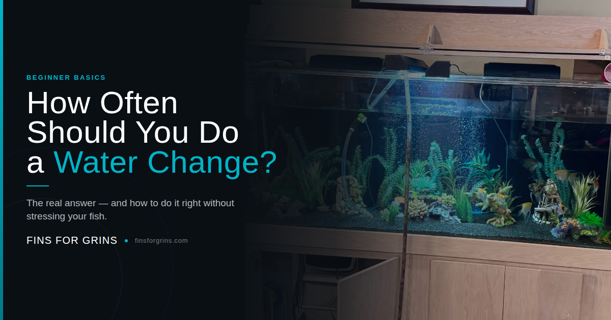 Aquarium maintenance is requried for healthy aquariums