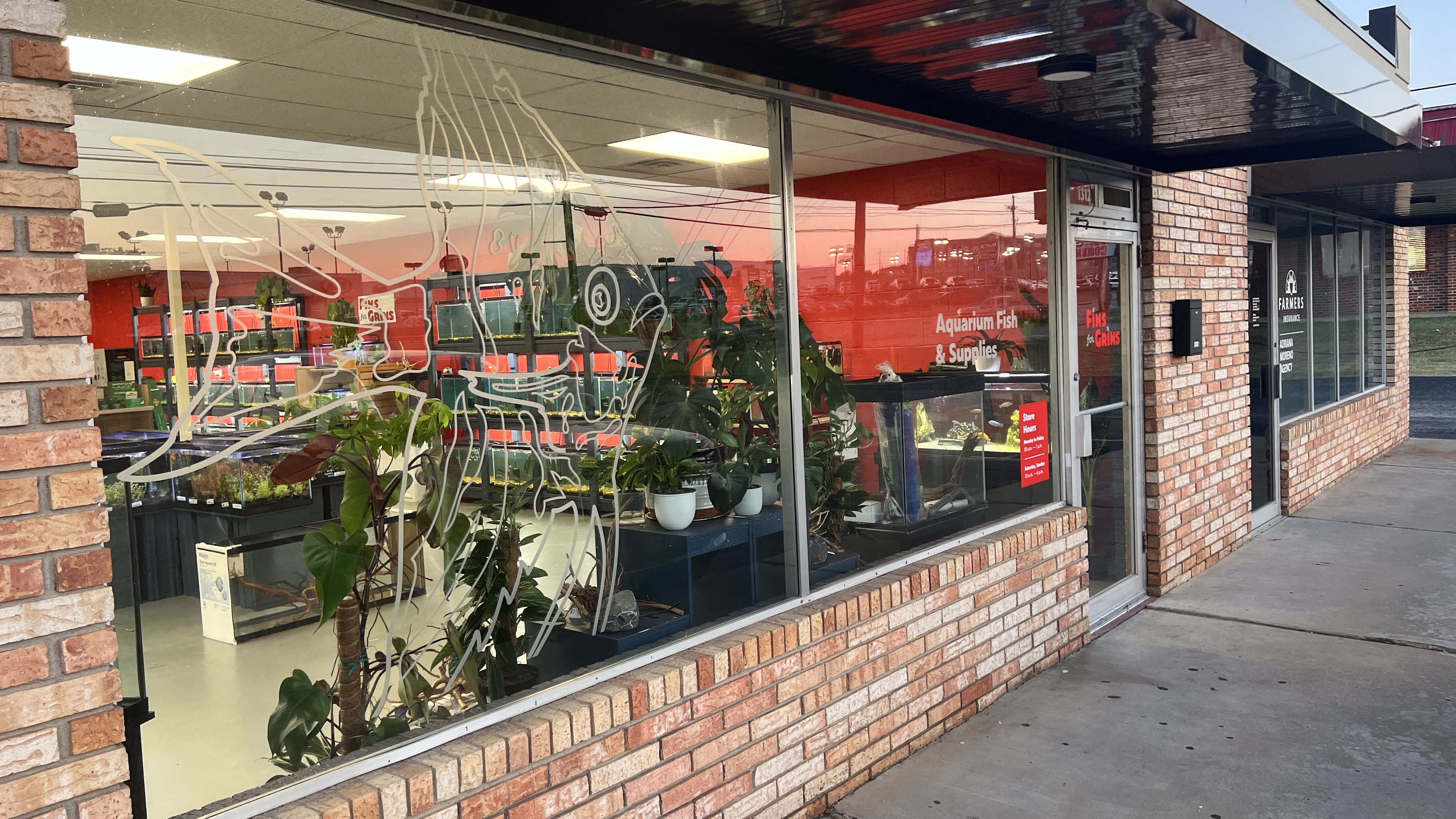 Fins For Grins freshwater fish store in Broken Arrow Oklahoma