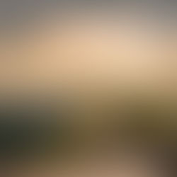 Axon Strengthens Logistics Network Through Strategic MOUs with Key Partners