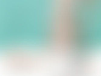 コンサートご案内