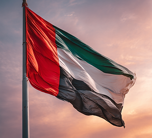 UAe flag.png
