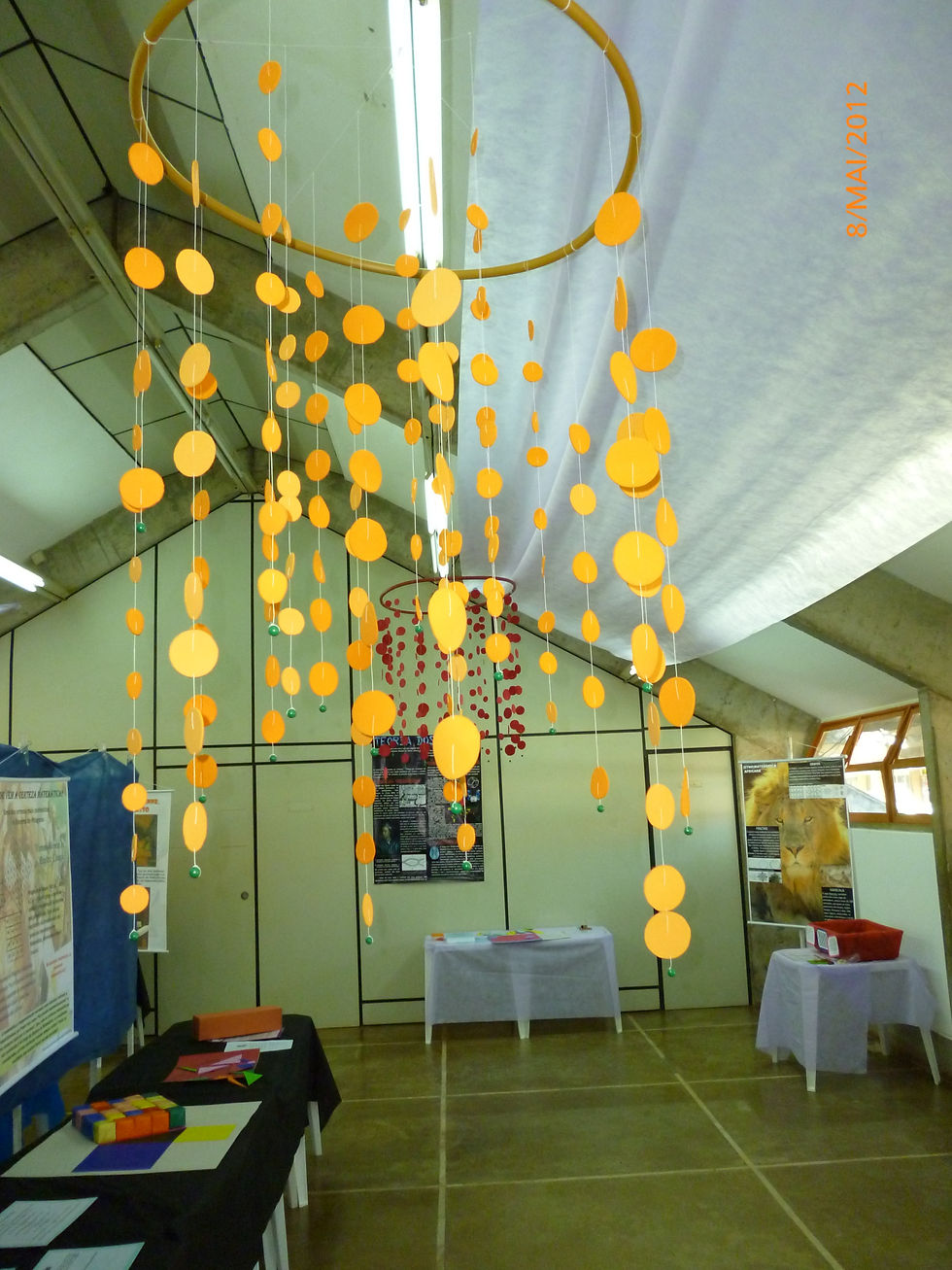 P1000664.JPG