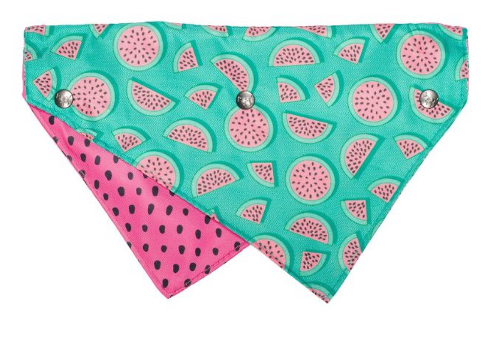 Fuzzyard Pet Bandana