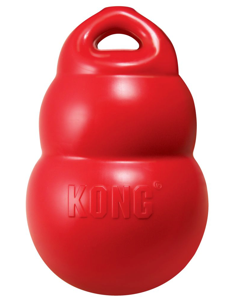Kong Bounzer