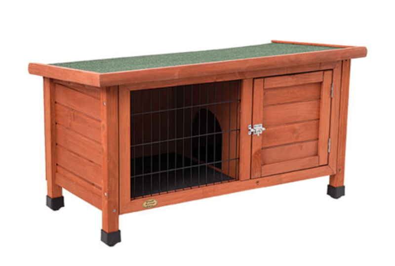 Live Plants The Pet Shop Eastgardens