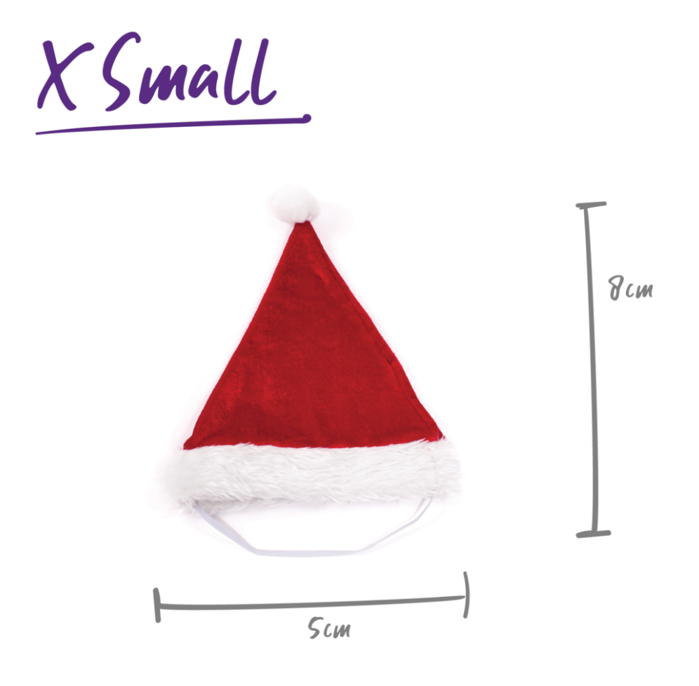 Kazoo Christmas Santa Hat