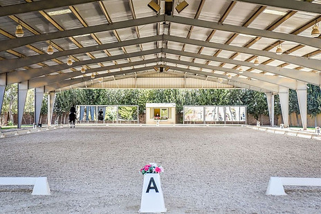 Dressage Las Vegas