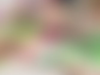 レモンライムメントール 完売