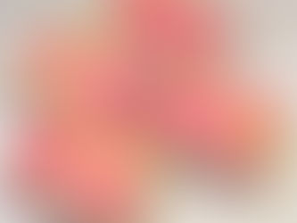 さくらローズ 完売