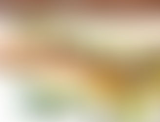 くちなし　８個