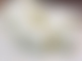 レモングラス 完売