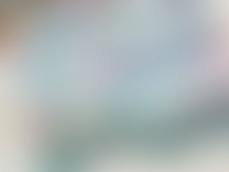 プルメリアフローラル 完売