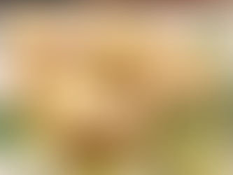 柑橘ミックス 6個 グレープフルーツレモンオレンジ