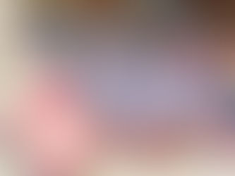 ベリーローズ 完売