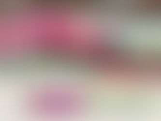 ティツリーシダー 完売