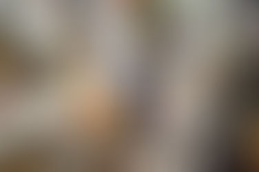 ਹੋਰਡਿੰਗ-ਡਿਸਆਰਡਰ ਇਕ ਮਾਨਸਿਕ ਬਿਮਾਰੀ