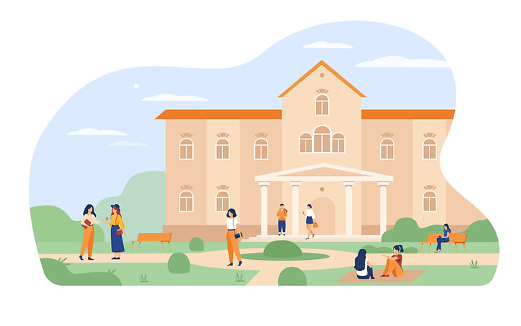 IB program for university admission
