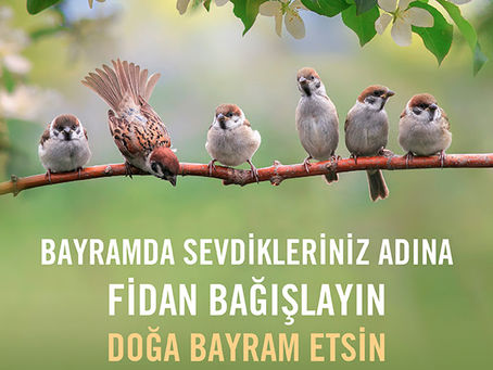BAYRAMDA FİDAN BAĞIŞLAMAYA NE DERSİNİZ?