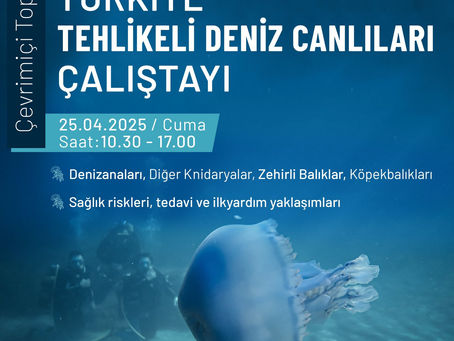 TÜRK DENİZ ARAŞTIRMALARI VAKFI BU YIL YİNE ÖNEMLİ ÇALIŞMALARA İMZA ATIYOR