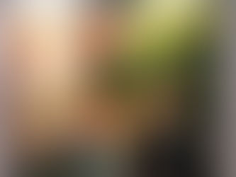 ARTNOUVA SANAT FUARI GÜNLÜĞÜM