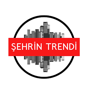 ŞEHRİN (10).png