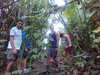 jungle-adventure