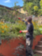 Garden redesign SE23